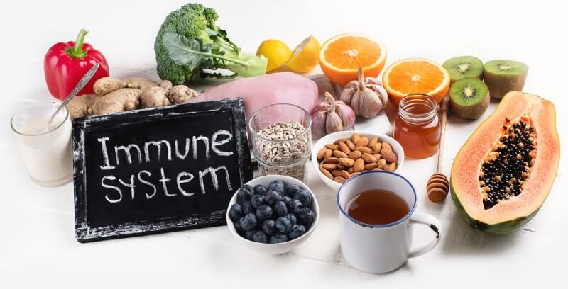 Support Your Immune System Through Establishing a Good Foundation of Health Support Your Immune System Through Establishing a Good Foundation of Health