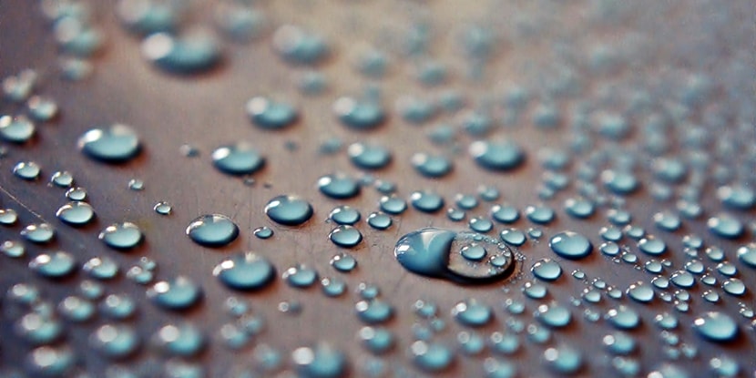 Seasonal Detoxification