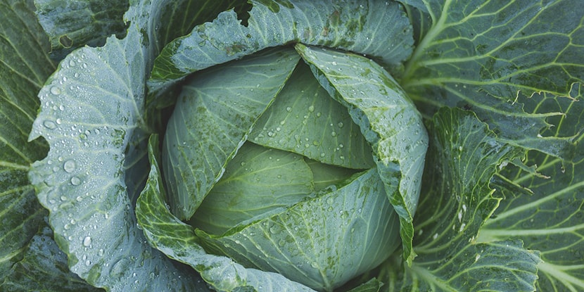 Vitamin K—Important Facts That You Need To Know