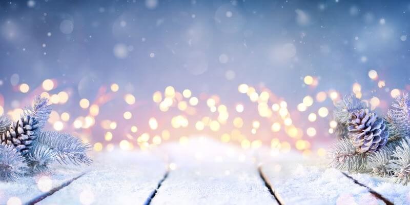 13th Anniversary Celebration 13th Anniversary Celebration