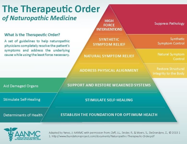 The Therapeutic Order of Naturopathic Medicine